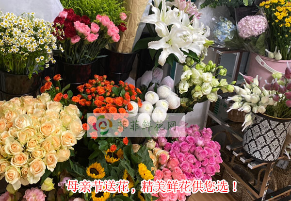 2024黄冈红安县母亲节送花,黄冈红安县精美鲜花供您选!